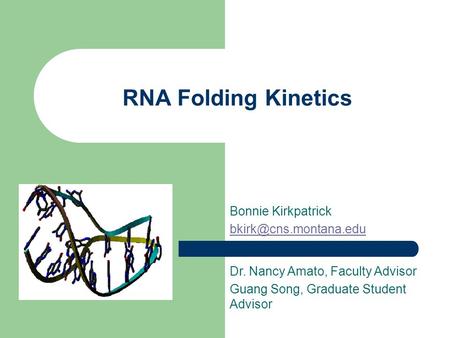 RNA Folding Kinetics Bonnie Kirkpatrick Dr. Nancy Amato, Faculty Advisor Guang Song, Graduate Student Advisor.
