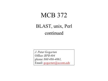 MCB 372 BLAST, unix, Perl continued J. Peter Gogarten Office: BPB 404 phone: 860 486-4061,