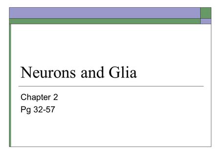 Neurons and Glia Chapter 2 Pg 32-57. Obstacles to Study  Cells are too small to see.  To study brain tissue with a microscope, thin slices are needed.