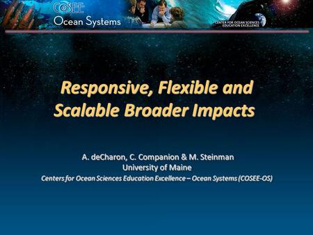 Responsive, Flexible and Scalable Broader Impacts Responsive, Flexible and Scalable Broader Impacts A. deCharon, C. Companion & M. Steinman A. deCharon,