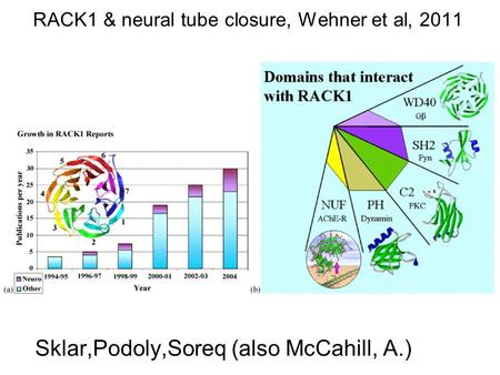 RACK1 & neural tube closure, Wehner et al, 2011 Sklar,Podoly,Soreq (also McCahill, A.)
