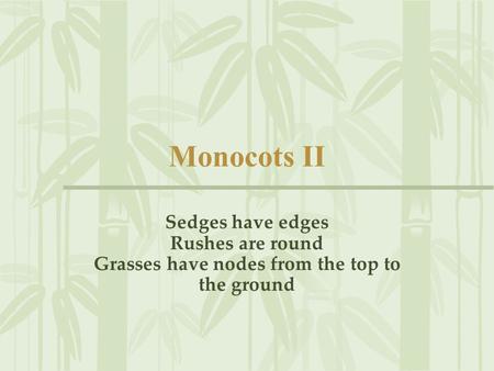 Monocots II Sedges have edges Rushes are round Grasses have nodes from the top to the ground.