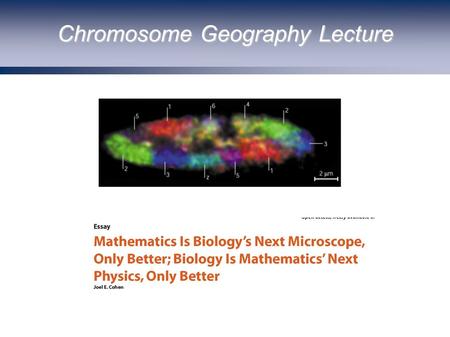 Chromosome Geography Lecture. The Chromosome as a Polymer Blob b=2P.
