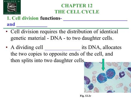1. Cell division functions- _________________________ and ____________ Cell division requires the distribution of identical genetic material - DNA - to.