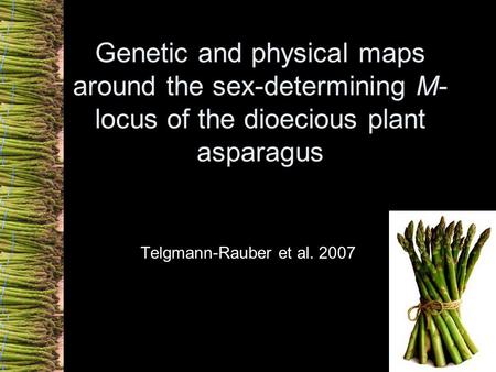 Genetic and physical maps around the sex-determining M- locus of the dioecious plant asparagus Telgmann-Rauber et al. 2007.