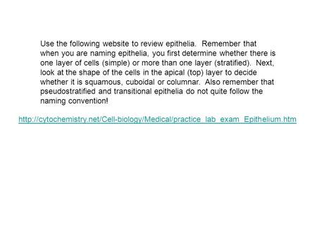 Use the following website to review epithelia. Remember that when you are.
