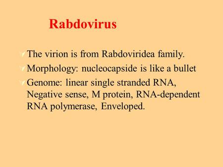 Rabdovirus The virion is from Rabdoviridea family.