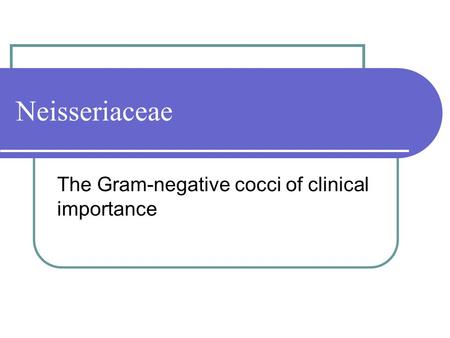 The Gram-negative cocci of clinical importance