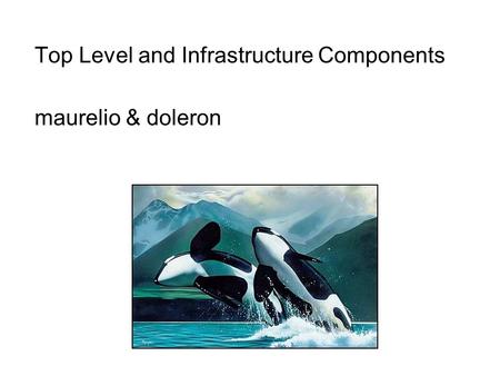 Top Level and Infrastructure Components maurelio & doleron.