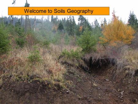 Welcome to Soils Geography. Course Objectives –  To visualize – soil as a system of interacting components with interrelated physics, chemistry, & biology.