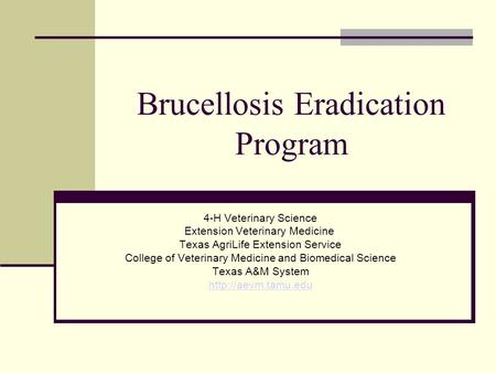 Brucellosis Eradication Program 4-H Veterinary Science Extension Veterinary Medicine Texas AgriLife Extension Service College of Veterinary Medicine and.