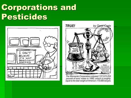 Corporations and Pesticides. Multinational Corporations have Control  1960s and 1970s the pesticide market was a highly profitable business venture,