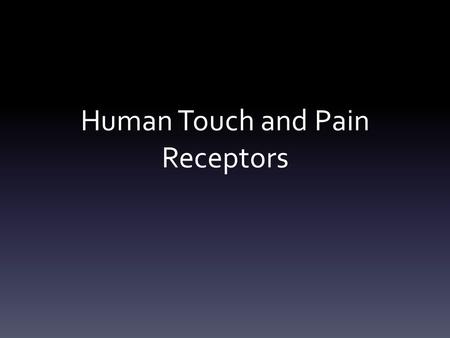 Human Touch and Pain Receptors. Somatosensory System Somoesthetic sensations – Sensations associated with skin receptors Proprioception – Perception and.