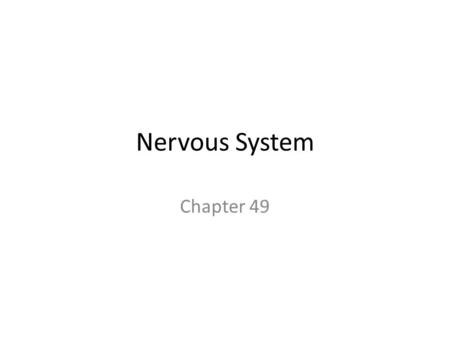 Nervous System Chapter 49. Organization correlates w/ lifestyle – Sessile molluscs w/ simple – Complex molluscs w/ complex Nerve net is connected nerve.