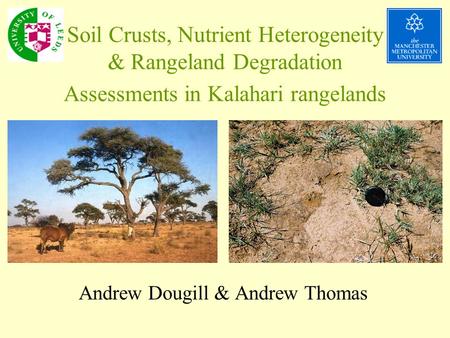 Soil Crusts, Nutrient Heterogeneity & Rangeland Degradation Assessments in Kalahari rangelands Andrew Dougill & Andrew Thomas.