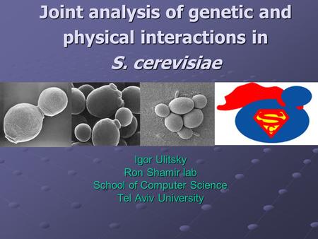 Joint analysis of genetic and physical interactions in S. cerevisiae Igor Ulitsky Ron Shamir lab School of Computer Science Tel Aviv University.