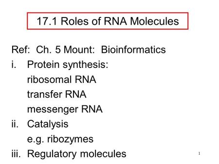 1 Ref: Ch. 5 Mount: Bioinformatics i.Protein synthesis: ribosomal RNA transfer RNA messenger RNA ii.Catalysis e.g. ribozymes iii.Regulatory molecules 17.1.