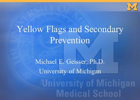 Yellow Flags and Secondary Prevention Michael E. Geisser, Ph.D. University of Michigan.