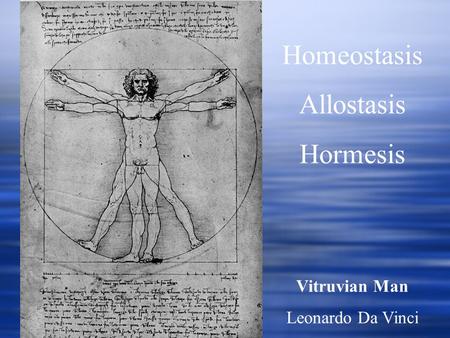 Homeostasis Allostasis Hormesis Vitruvian Man Leonardo Da Vinci.