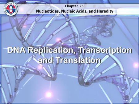 DNA Replication, Transcription and Translation DNA Replication, Transcription and Translation DNA Replication, Transcription and Translation DNA Replication,
