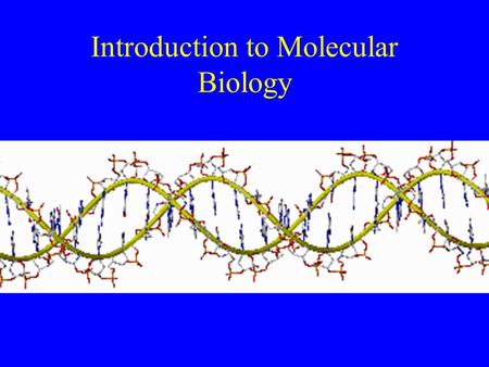 Introduction to Molecular Biology. G-C and A-T pairing.