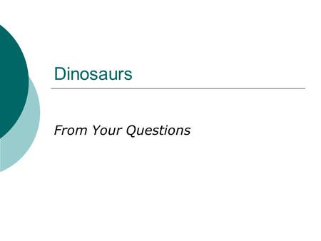 Dinosaurs From Your Questions. Dinosaur Distribution  Where are they found?  United States, Argentina, Mongolia, China, Central Asia, Africa, Antarctica,