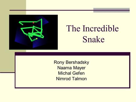 The Incredible Snake Rony Bershadsky Naama Mayer Michal Gefen Nimrod Talmon.