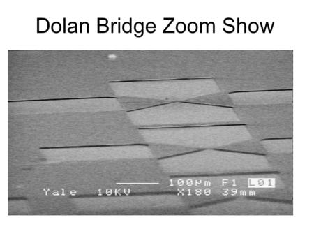 Dolan Bridge Zoom Show. Optical Bridge Zoom Show.