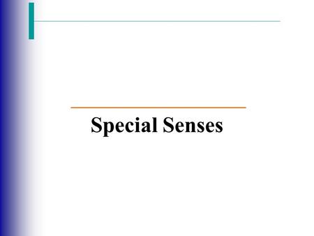 Special Senses.