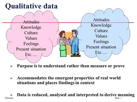 ©Trimtab Slide 1 Qualitative data  Purpose is to understand rather than measure or prove  Accommodates the emergent properties of real world situations.