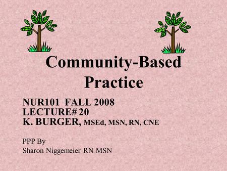 Community-Based Practice NUR101 FALL 2008 LECTURE# 20 K. BURGER, MSEd, MSN, RN, CNE PPP By Sharon Niggemeier RN MSN.