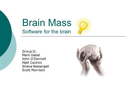Brain Mass Software for the brain Group G: Mark Gabel John O’Donnell Matt Cechini Shane Niebergall Scott Morrison.