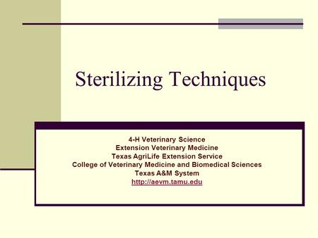 Sterilizing Techniques 4-H Veterinary Science Extension Veterinary Medicine Texas AgriLife Extension Service College of Veterinary Medicine and Biomedical.