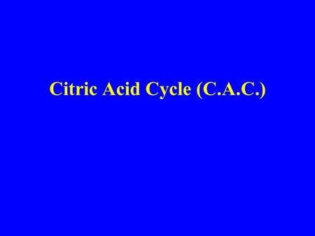 Citric Acid Cycle (C.A.C.). Mitochondrial Structure (cont.)