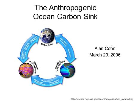 The Anthropogenic Ocean Carbon Sink Alan Cohn March 29, 2006