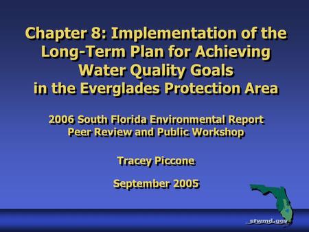 Chapter 8: Implementation of the Long-Term Plan for Achieving Water Quality Goals in the Everglades Protection Area 2006 South Florida Environmental Report.
