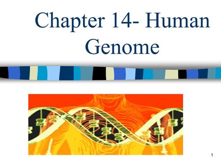 Chapter 14- Human Genome.