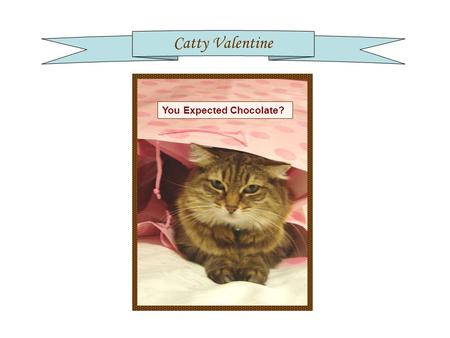 Catty Valentine You Expected Chocolate?. Chat Chocolate A Little Something Chocolate For Valentine’s Day? Fat Free Sugar Free Gluten Free Just 100% Cat.