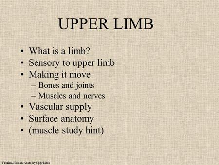 UPPER LIMB What is a limb? Sensory to upper limb Making it move