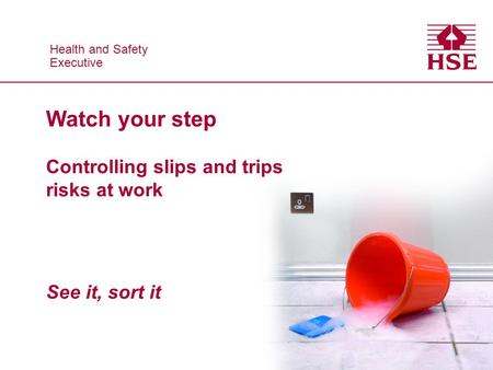 Health and Safety Executive Watch your step Controlling slips and trips risks at work See it, sort it.