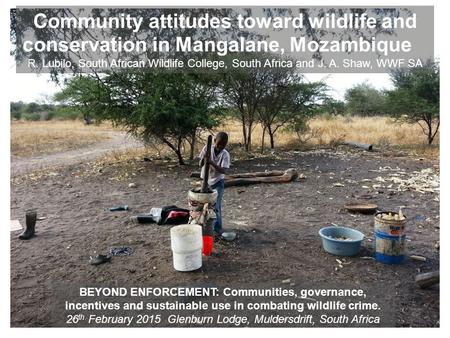 Community attitudes toward wildlife and conservation in Mangalane, Mozambique R. Lubilo, South African Wildlife College, South Africa and J. A. Shaw, WWF.