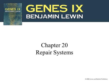 Chapter 20 Repair Systems.