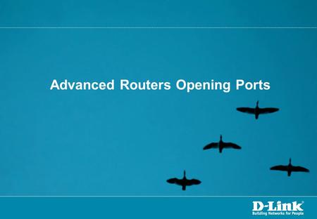 Advanced Routers Opening Ports