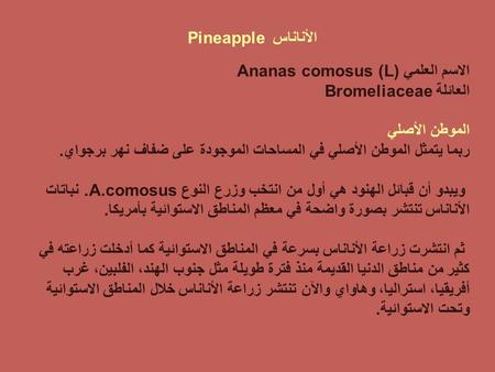 الأناناس  Pineapple الاسم العلمي (Ananas comosus (L