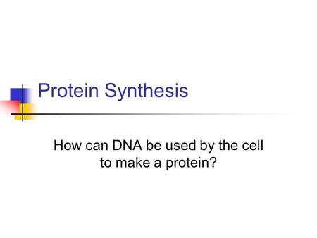 How can DNA be used by the cell to make a protein?