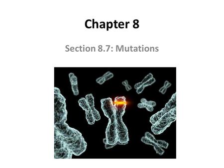 Chapter 8 Section 8.7: Mutations.