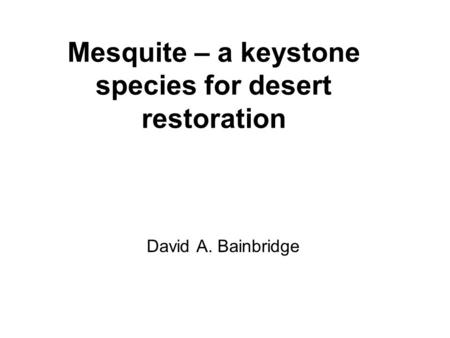 Mesquite – a keystone species for desert restoration