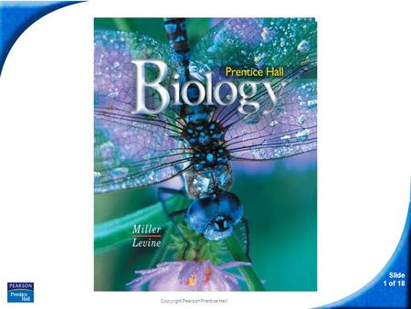 Slide 1 of 18 Copyright Pearson Prentice Hall Biology.