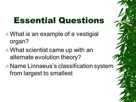 Essential Questions What is an example of a vestigial organ?