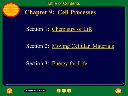 Chapter 9: Cell Processes